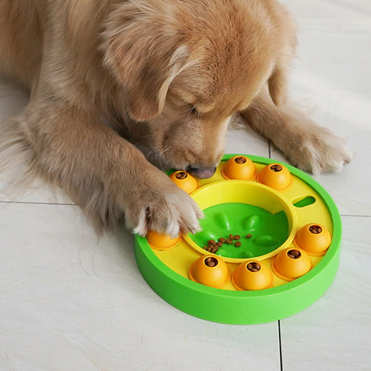 Fun Feeder Interactive Slow Feeder Dog Bowl